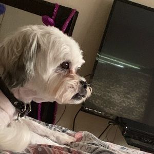 Meet your Posher, Akyla